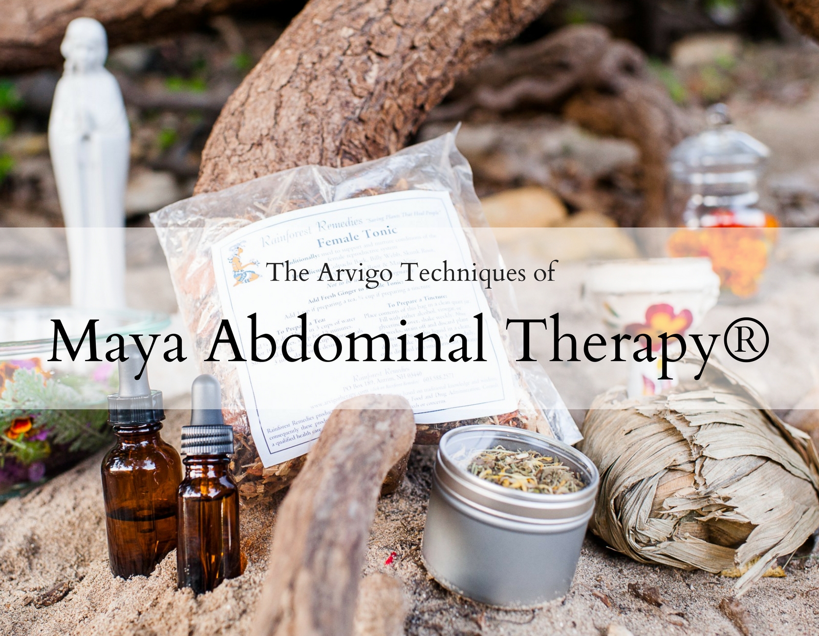 Maya Abdominal Therapy Jen Quade